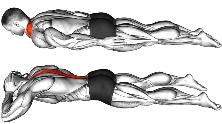 Posture & Mobility Correction